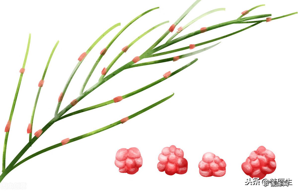 风疹病毒最佳治疗方法 风疹 治疗方法