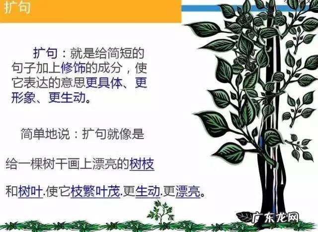 小学缩句大全100个 缩句专题训练