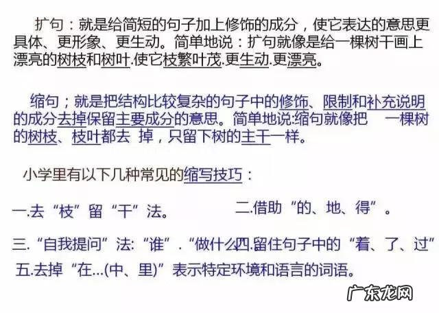 小学缩句大全100个 缩句专题训练