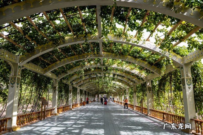 广州主礼楼风水