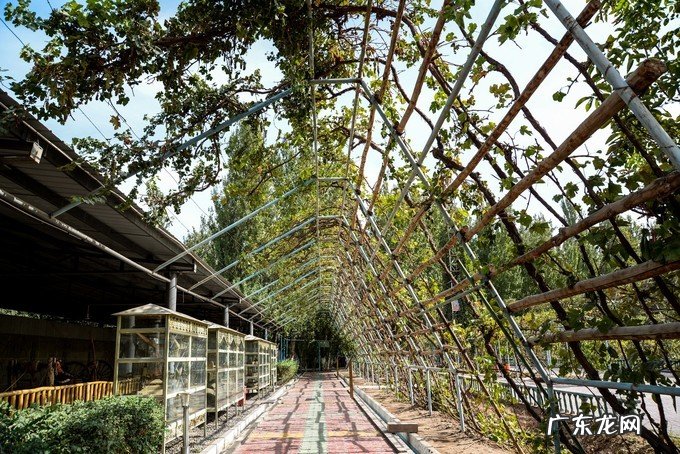 广州主礼楼风水