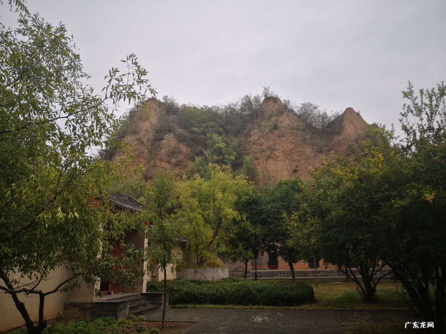 聚财象的摆设 呼形喝象风水局