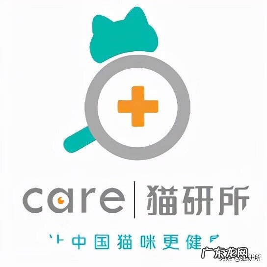 猫是属阴还是属阳 猫的属性阴性还是阳性