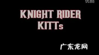 皮里阳秋形容什么 噼哩噼哩app是什么