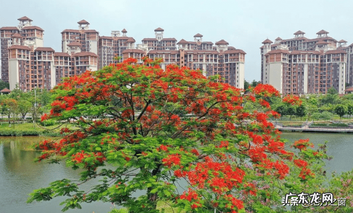 寺村风水宝地 佛山风水宝地