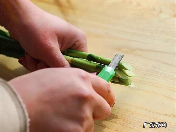 富贵竹养几只才风水好 家里富贵竹一般养几根最好