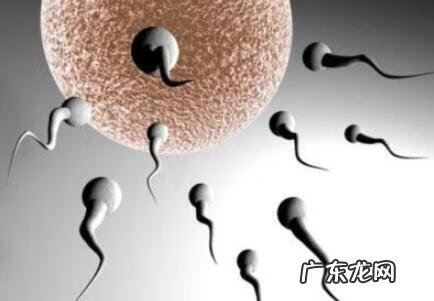 男子精子越来越少怎么办 男人生精少怎么办