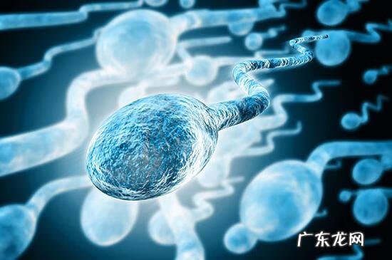 男子精子越来越少怎么办 男人生精少怎么办