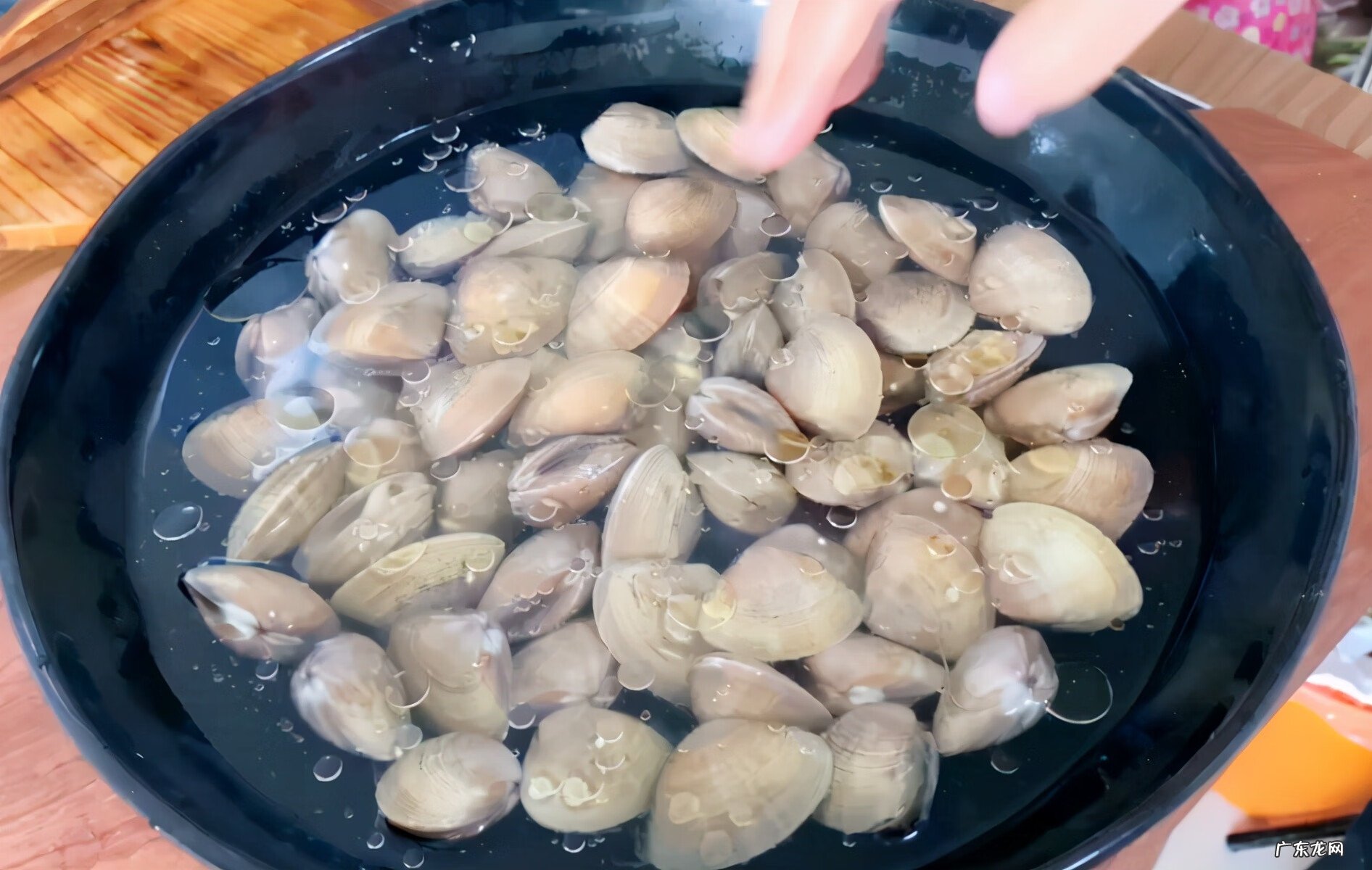 花甲的洗法最快的办法 花甲怎么洗最快最干净