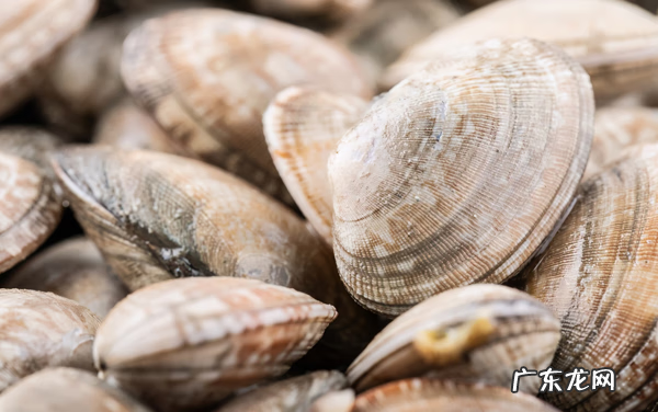花甲的洗法最快的办法 花甲怎么洗最快最干净