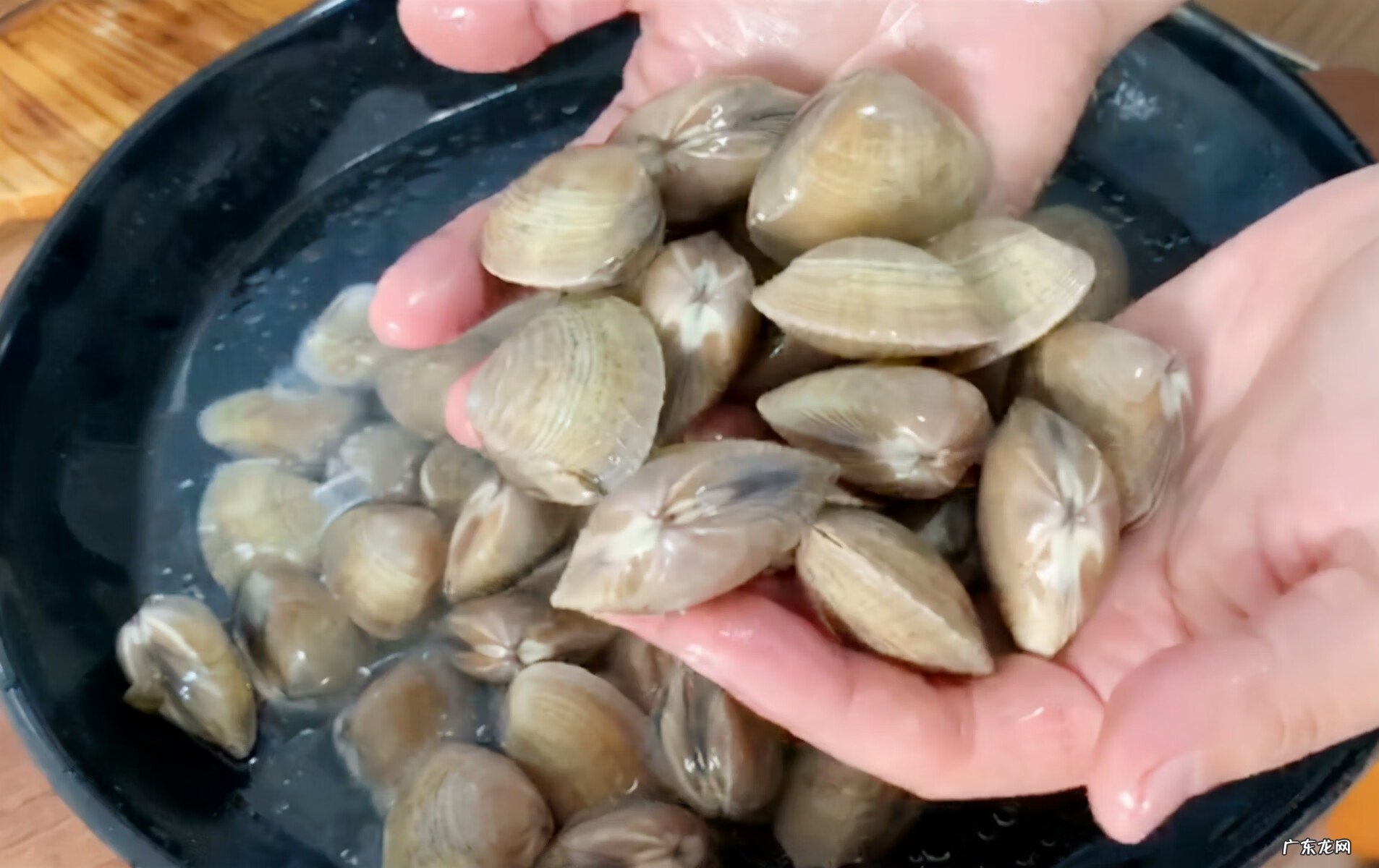 花甲的洗法最快的办法 花甲怎么洗最快最干净