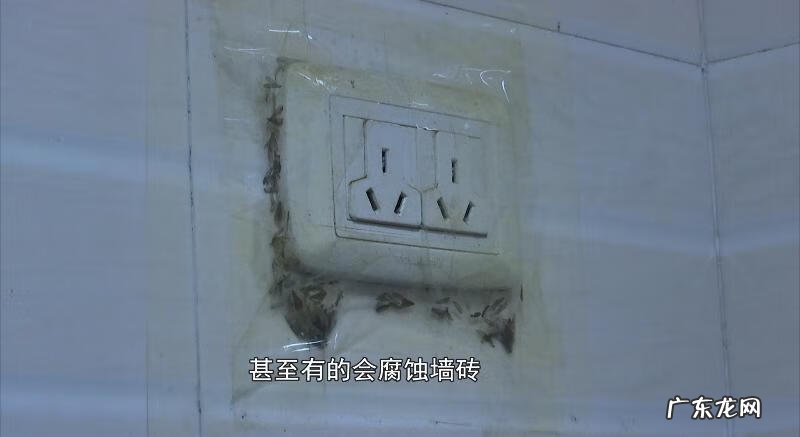 院子风水墙 灵晶墙风水