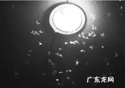 院子风水墙 灵晶墙风水