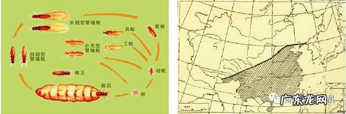 院子风水墙 灵晶墙风水