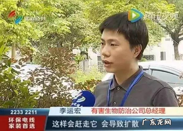 院子风水墙 灵晶墙风水