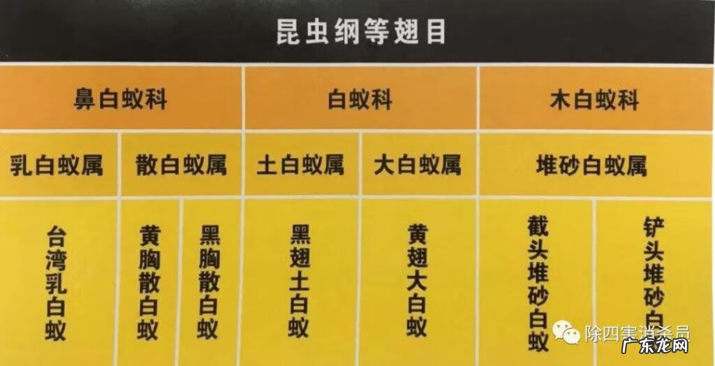 院子风水墙 灵晶墙风水