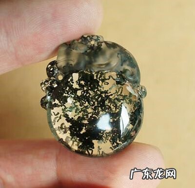 幽灵是一种生物 幽灵的种类