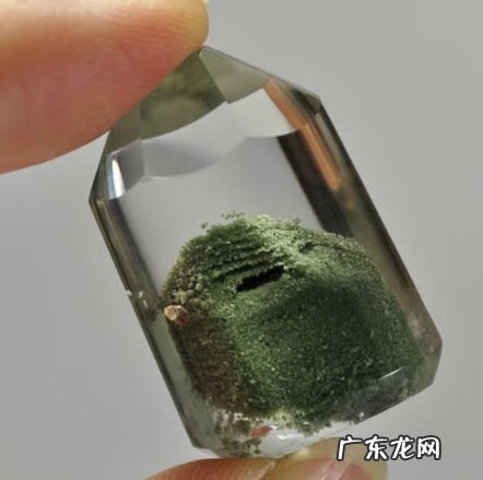 幽灵是一种生物 幽灵的种类