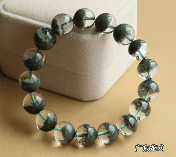 幽灵是一种生物 幽灵的种类