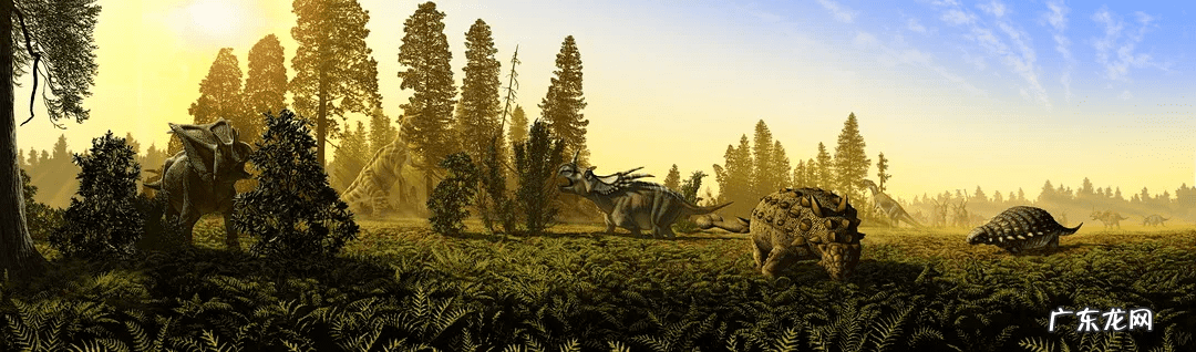 霸王龙的资料简单介绍 霸王龙的资料 真实