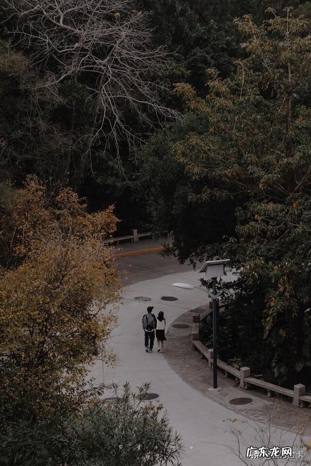 英语作文范文10篇 英语作文范文摘抄