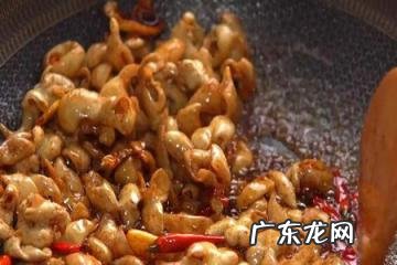 肥肠怎么做好吃红烧肥肠的家常做法视频,红烧肥肠的做法 最正宗的做法窍门