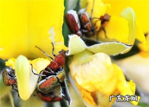 没人注意的暴利行业个小本生意成功案例 女人想自己创业做什么好