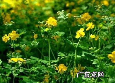 没人注意的暴利行业个小本生意成功案例 女人想自己创业做什么好