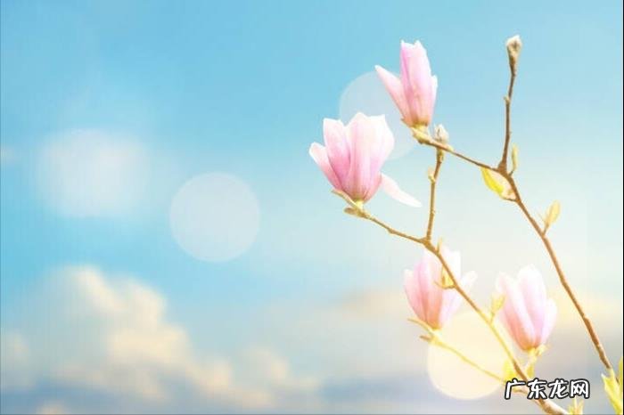 有一种想见不能见的伤痛,有一种爱还埋藏在我心中 想见不能见的人歌词