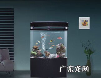 风水中的禄元星 风水的禄指什么