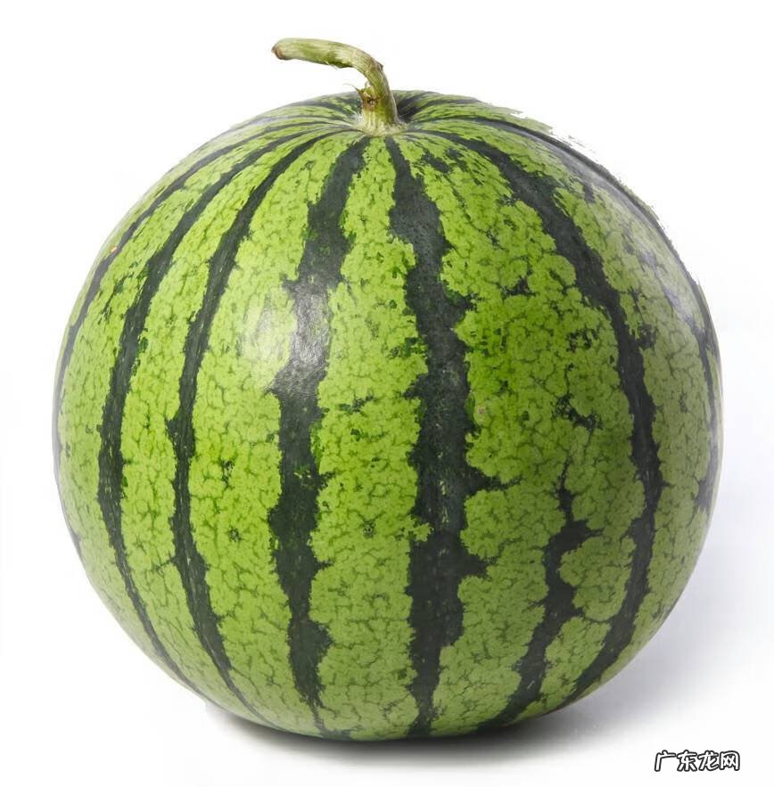 茄瓜是茄子吗 茄瓜是什么