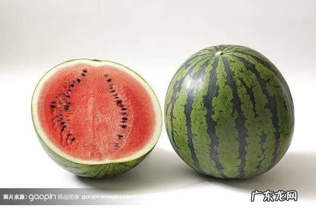 茄瓜是茄子吗 茄瓜是什么