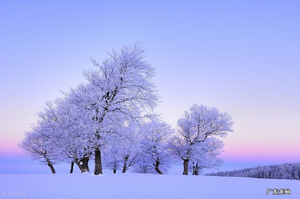 刘衍奎风水大师 刘良琳八卦风水