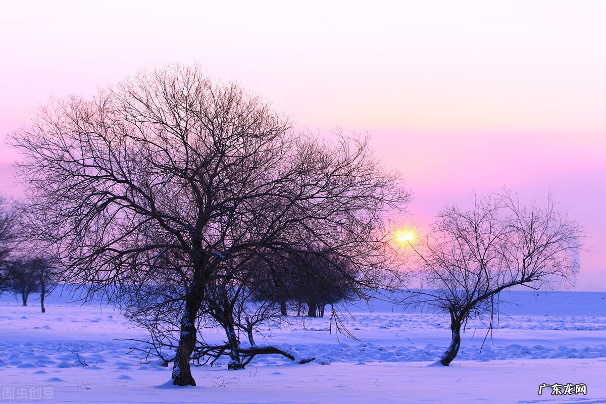刘衍奎风水大师 刘良琳八卦风水