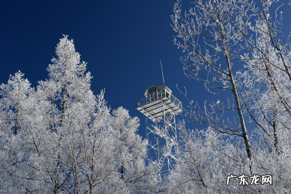 刘衍奎风水大师 刘良琳八卦风水