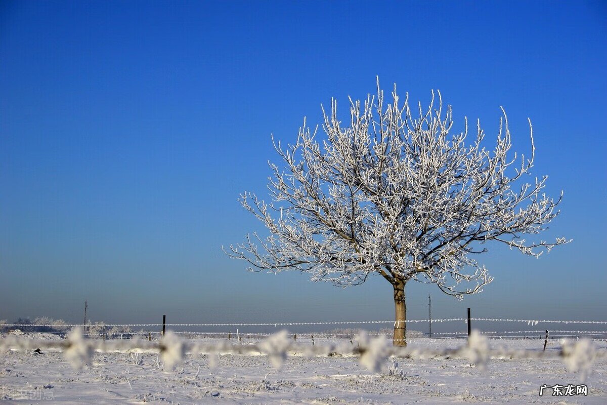 刘衍奎风水大师 刘良琳八卦风水