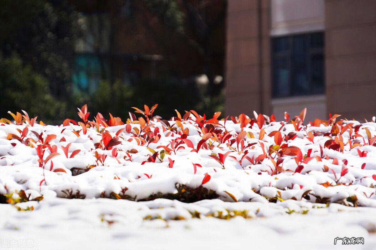 刘衍奎风水大师 刘良琳八卦风水