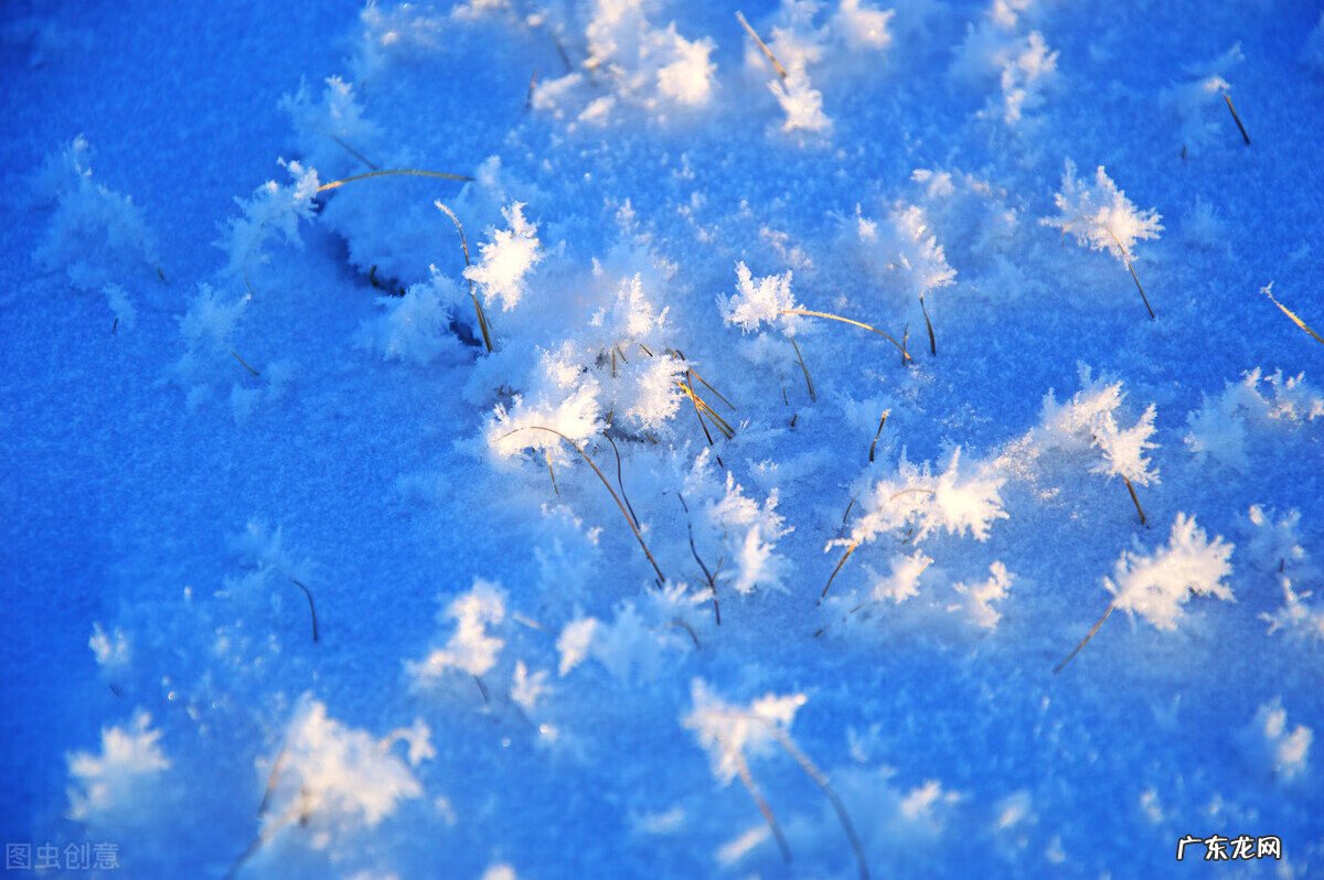 刘衍奎风水大师 刘良琳八卦风水