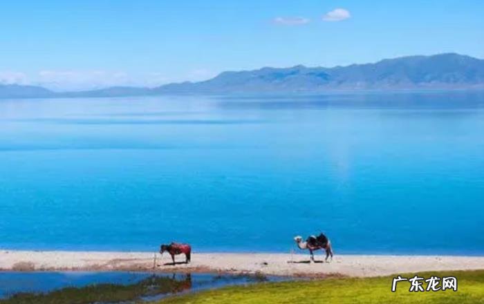 好感和喜欢的区别 如何区分好感和喜欢 好感和喜欢的区别 如何区分好感和喜欢
