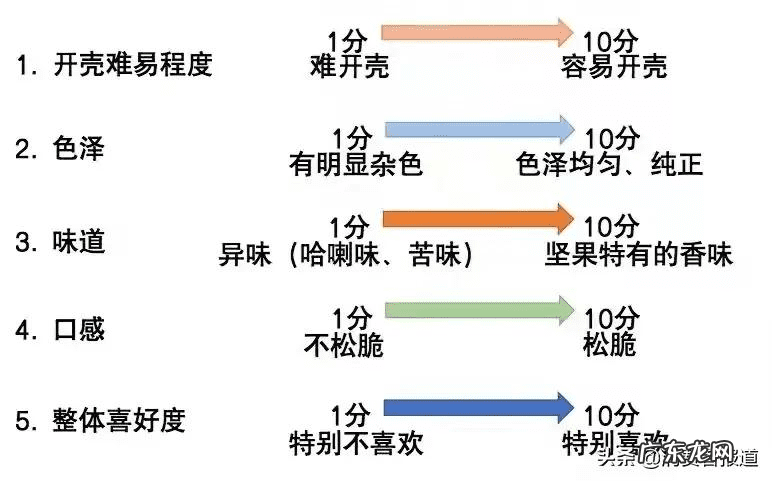 坚果包括哪些食物 坚果类食品有哪些品牌