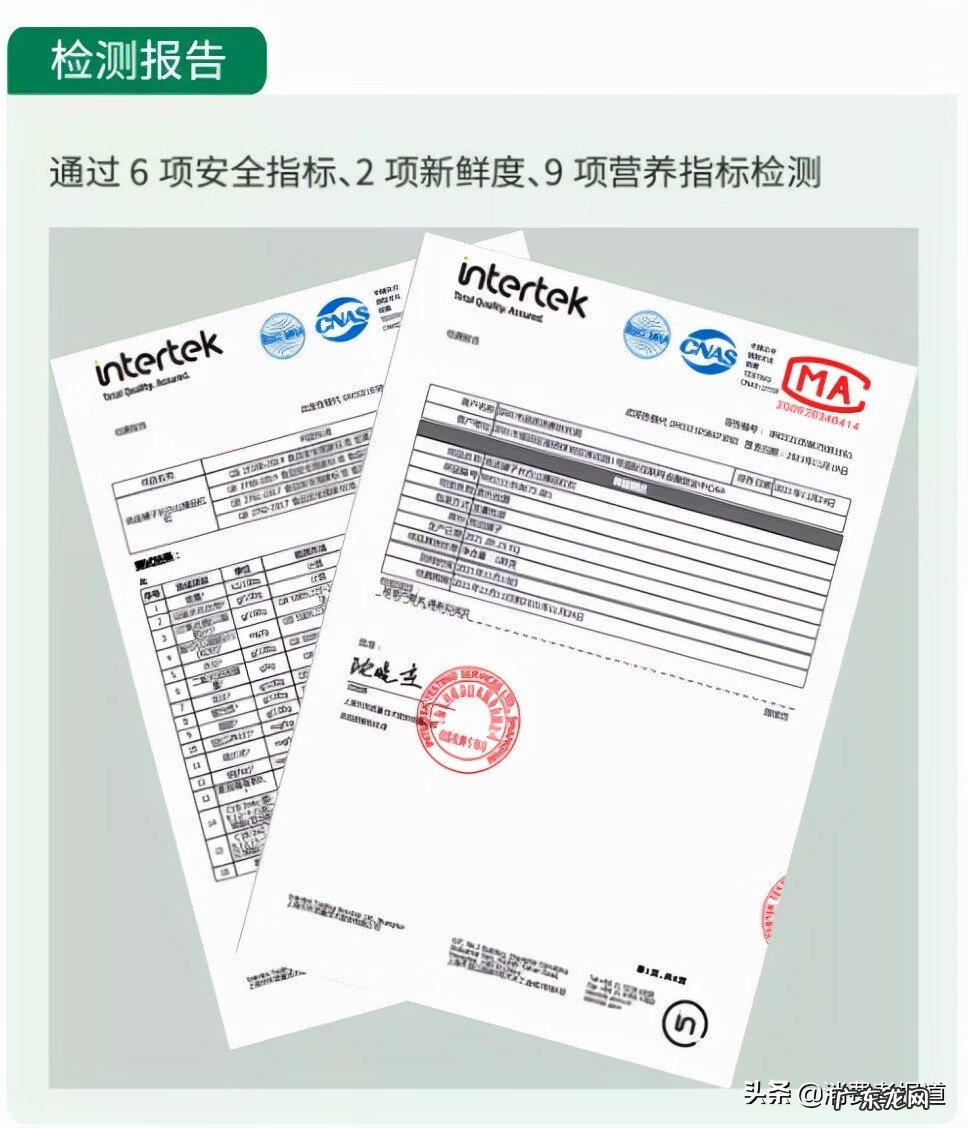 坚果包括哪些食物 坚果类食品有哪些品牌