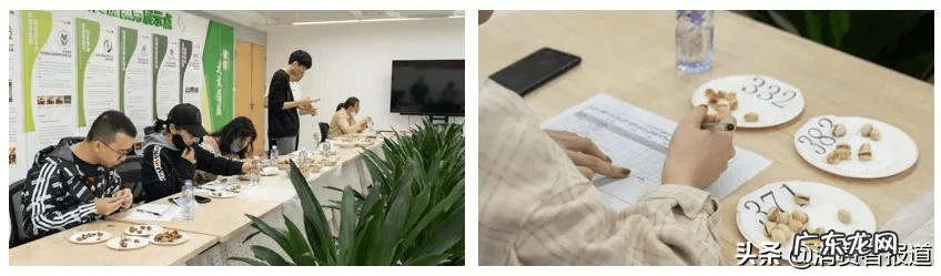 坚果包括哪些食物 坚果类食品有哪些品牌