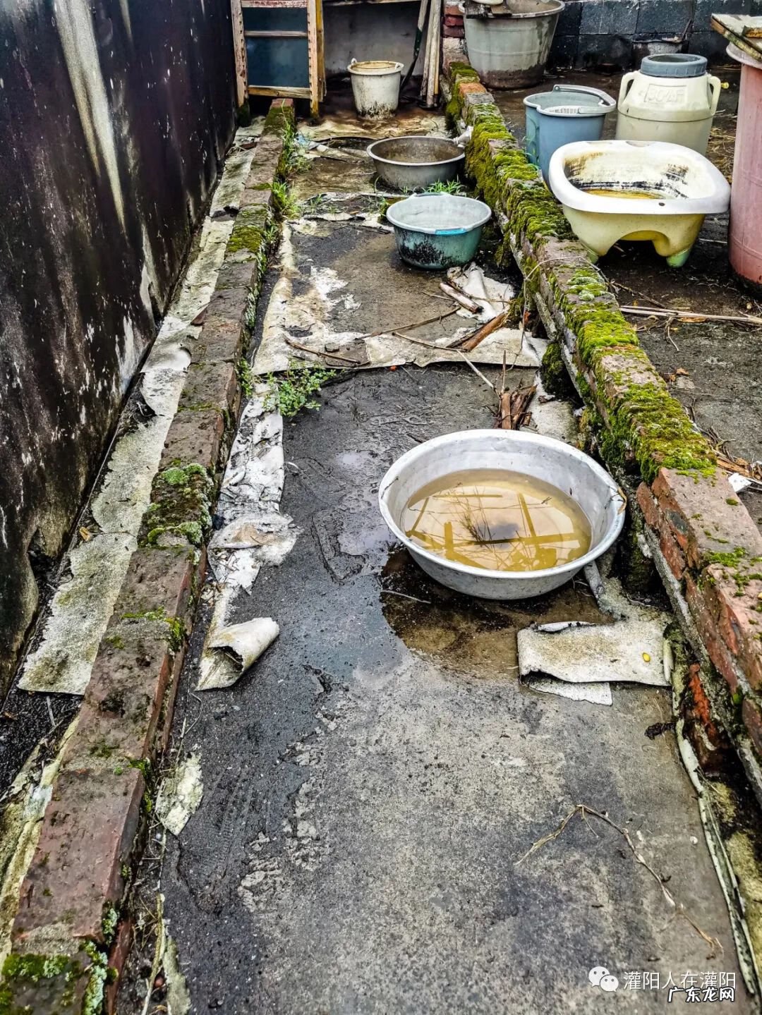 庭院水池制作步骤 水池的制作步骤