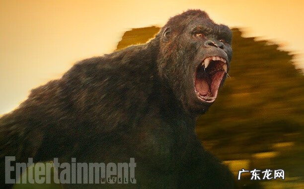 骷髅巨蜥 金刚骷髅岛下载 下载