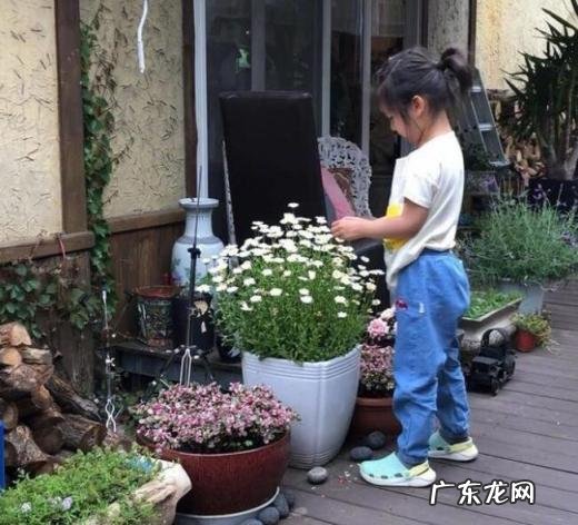 汤唯晒四岁女儿照片视频,汤唯带女儿回国