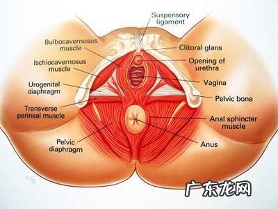 输卵管造影后多久可以同房要孩子 输卵管造影后多久可以同房?