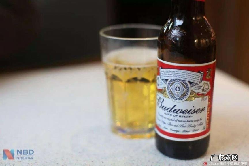 百威啤酒是哪个国家的牌子,百威啤酒是哪个国家的产品