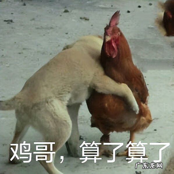 入耳式耳机利弊 入耳式耳机的伤害