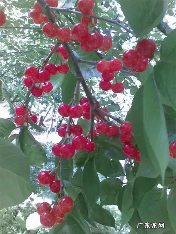 汉源县有几个乡镇 四川汉源县风水