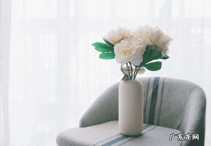 风水老鹰摆件的克星 什么属相不能摆老鹰